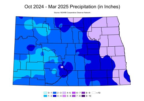 This is a precipitation map from 03 of 2025
